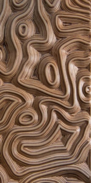3D sienu panelis Topography